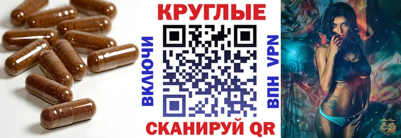 наркотики  МЕГА ссылка  Ecstasy 250 мг  Городовиковск 