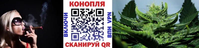продажа наркотиков Городовиковск Конопля конопля